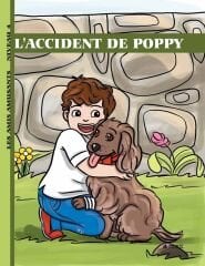 L'Accident De Poppy (Niveau 4) - Fransızca Hikaye Kitabı
