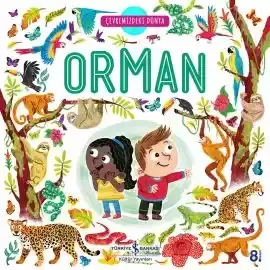 Çevremizdeki Dünya Orman