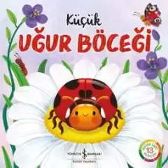 Küçük Uğur Böceği – Doğanın Eşsiz Hikâyeleri 13